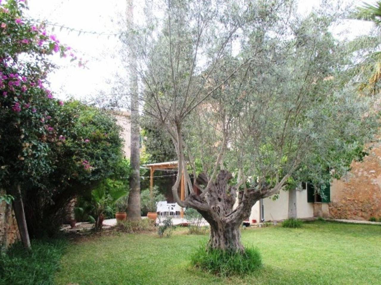 Entire apartment, Garten Appartment in Sencelles, Majorca Center