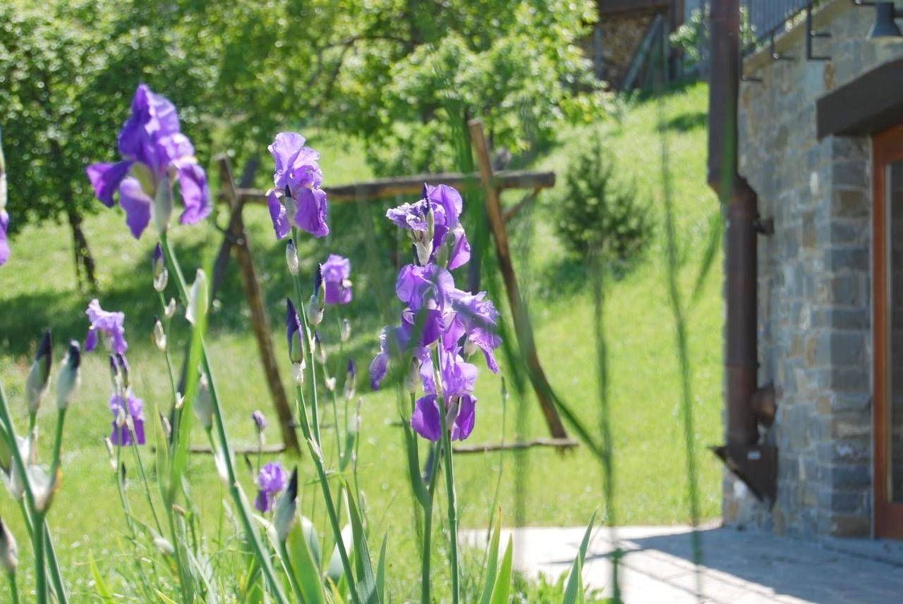 Appartement entier, Il Paradiso monolocale Cottage in Albareto, Apennin Parmensan
