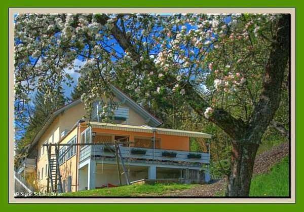 Ferienhaus für 33 Personen, mit Balkon und Terrasse sowie Garten und Sauna