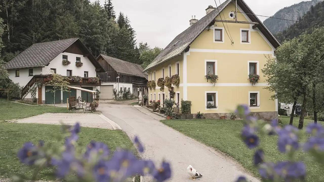 Ganze Ferienwohnung, Ferienwohnung für 4 Personen (60 m²) in Lainbach in Landl, Gesäuse
