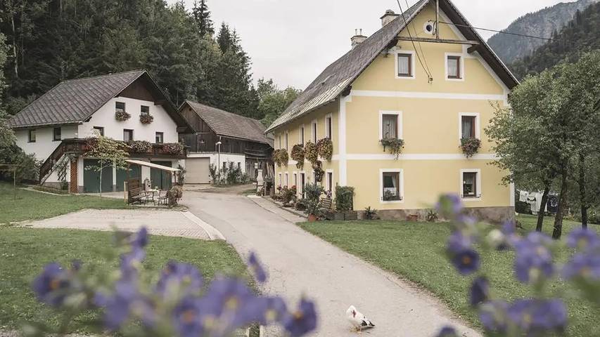 Ferienwohnung für 4 Personen, mit Garten und Terrasse, mit Haustier - 1