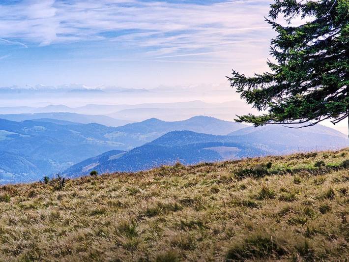Ferienwohnung für 2 Personen, mit Garten und Terrasse in Bad Krozingen - 3
