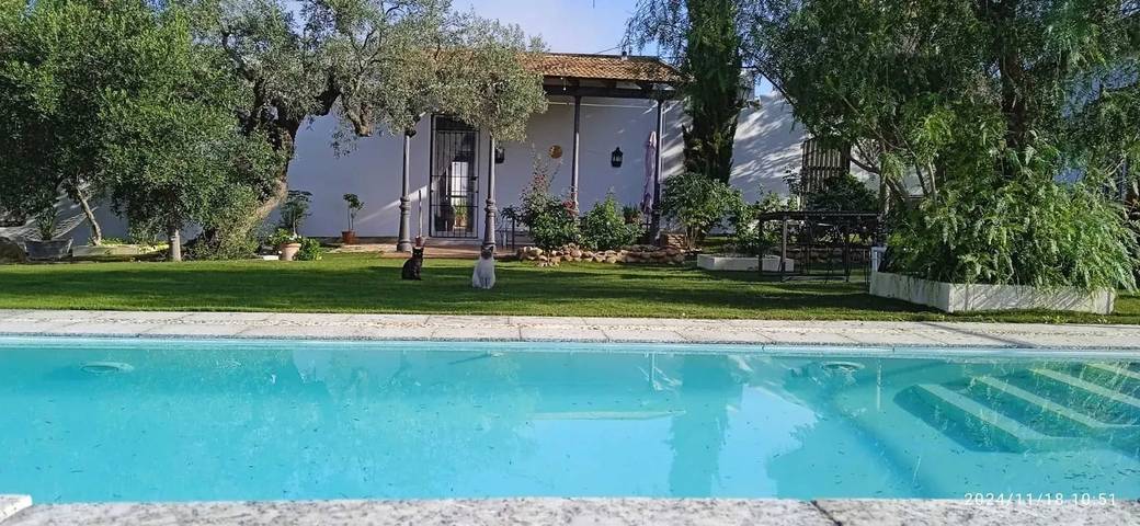 Chalet para 10 personas, con terraza además de jardín y piscina en Campiña de Carmona - 3