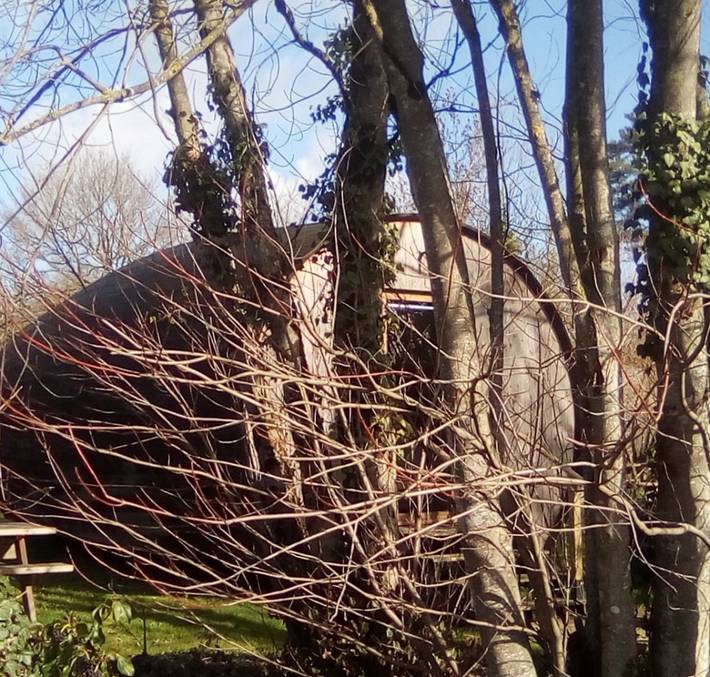 Gîte pour 3 personnes, avec jardin et jacuzzi ainsi que terrasse et piscine, animaux acceptés dans Maine-et-Loire - 4