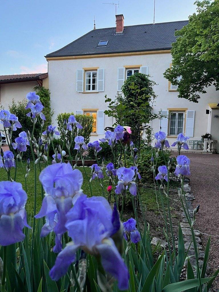 Appartement entier, Chambres ou appartement au Domaine de Saint-Martin de Bois in Pouilly-les-Nonains, Région de Roanne