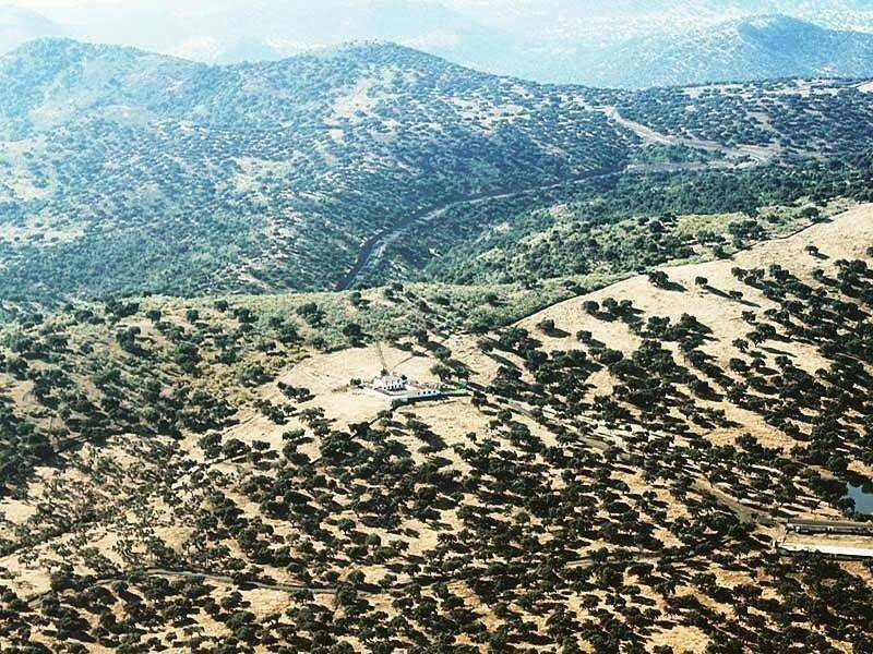 Finca Las Dehesillas in Monesterio, Sierra Morena
