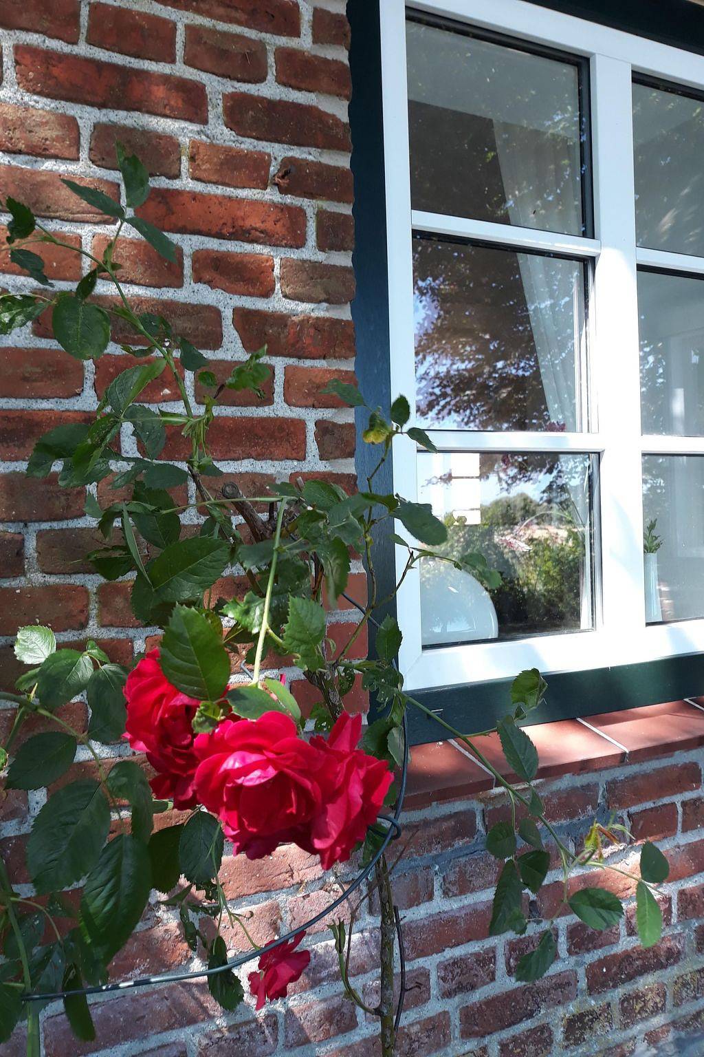 Land-Ferienhaus in Stoltebüll, Kappeln & Umgebung