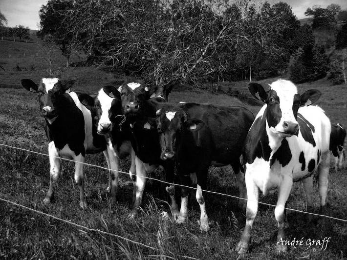 Location de vacances pour 2 personnes, avec vue à Hohrod - 3