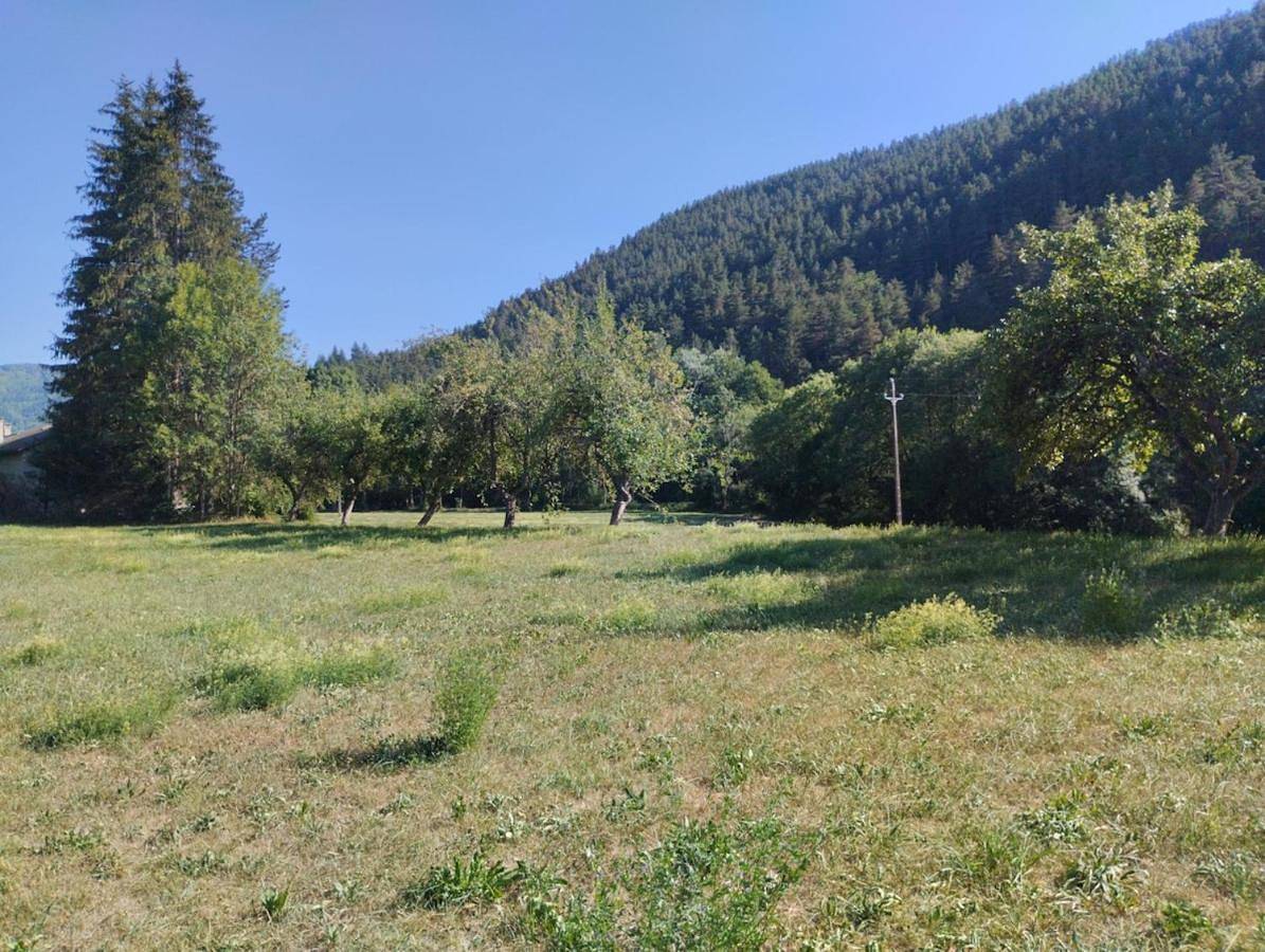 Maison carrée - domaine du vieux tilleul in Meyrueis, Parc national des Cévennes
