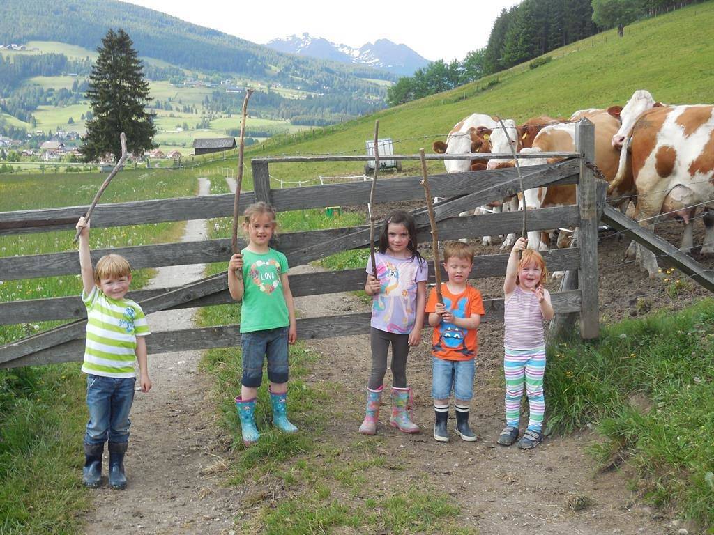 Ganze Ferienwohnung, Pertl - Hansalagut in Mauterndorf, Lungau