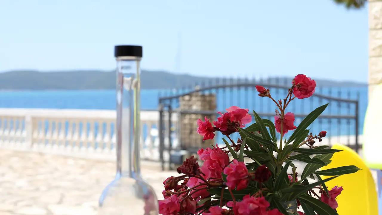 Appartamento vacanze a Brodarica a partire da 195€ a notte
