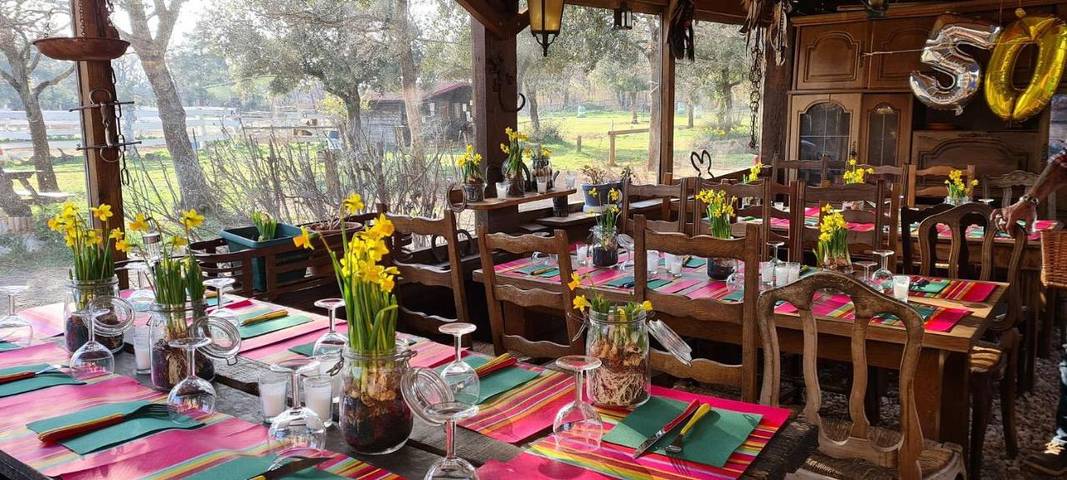 Maison d’hôte pour 7 personnes, avec jardin, animaux acceptés à Régusse - 2