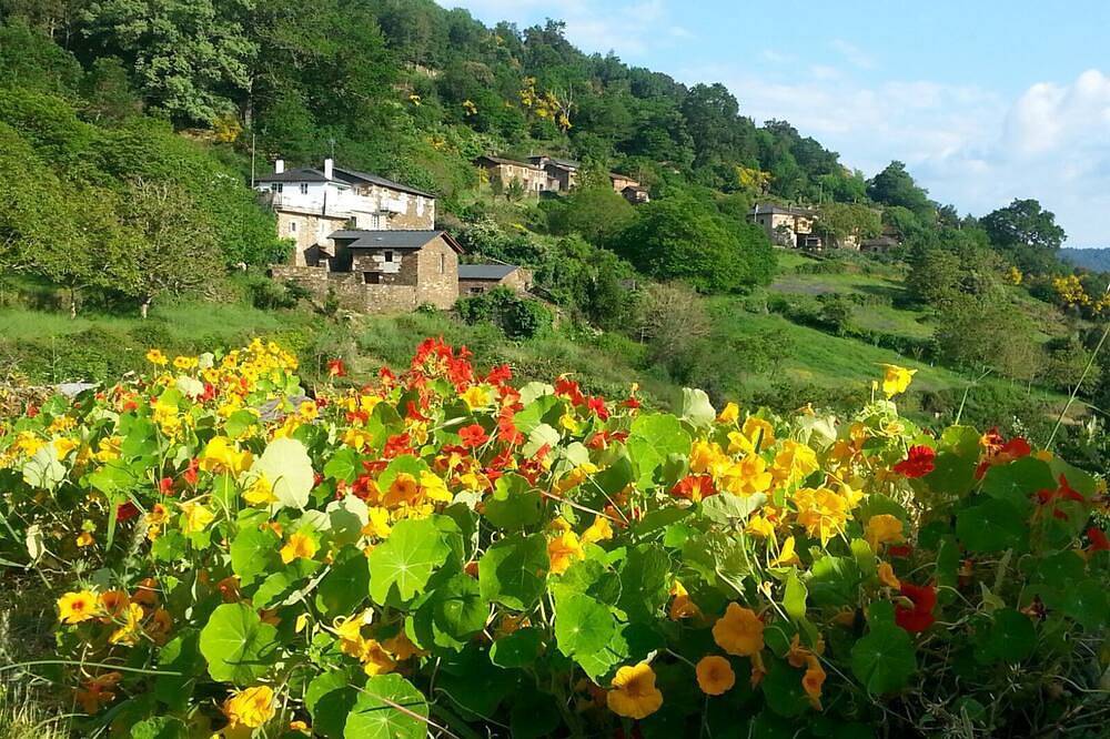 In full Ribeira Sacra * in Pantón, Lugo Province