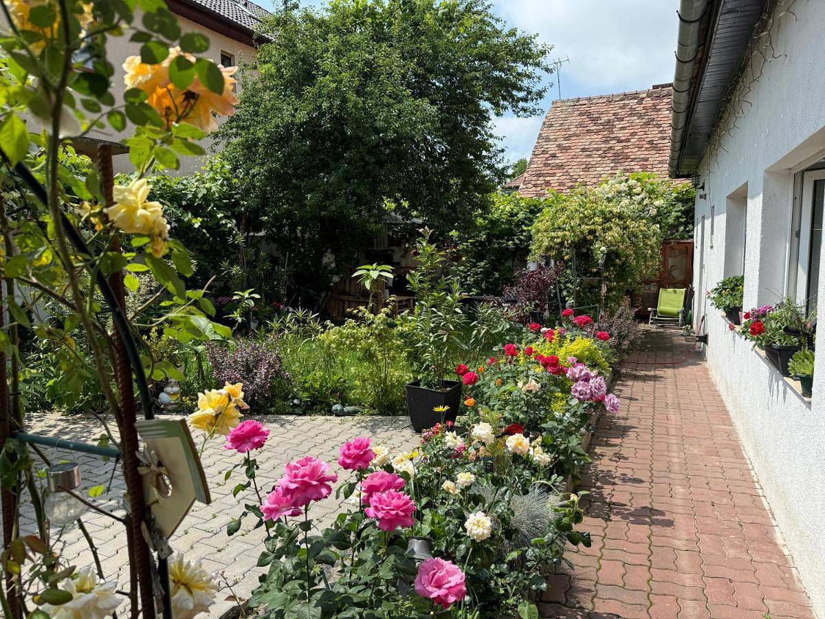 Chic Home in Hermannstadt, Karpaten