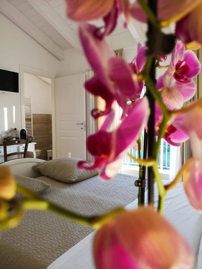 Chambre d’hôte pour 2 personnes, avec jardin et vue à Peschiera del Garda - 4