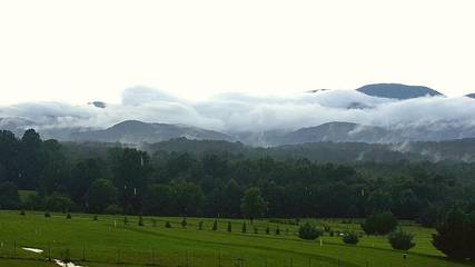 Bed And Breakfast for 4 Guests in South Carolina, USA, Picture 2