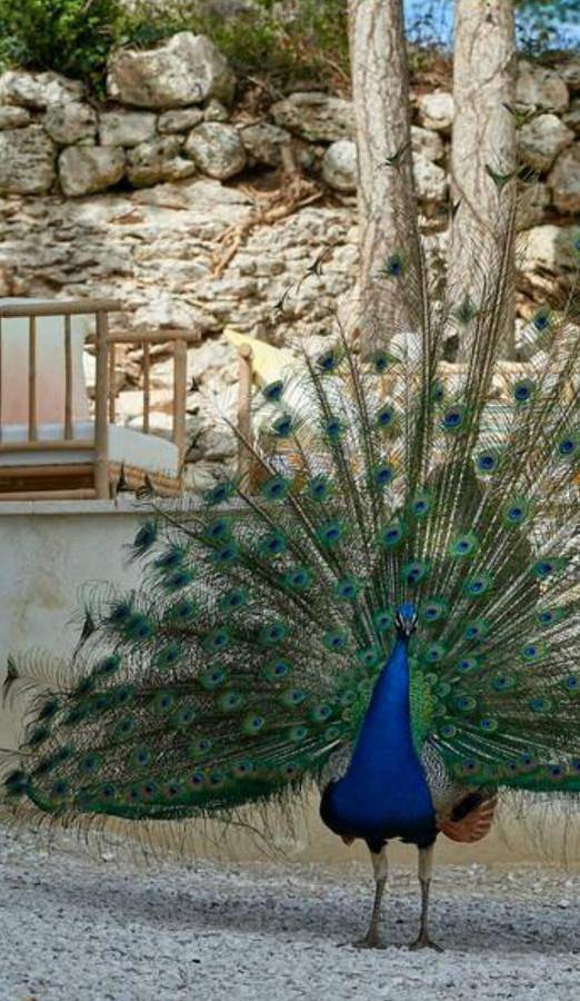 Haute Caussine in Fauroux, Quercy