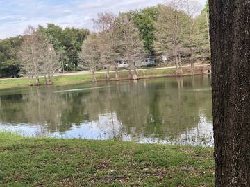 Bed And Breakfast for 4 Guests in Orlando, Disney Orlando, Picture 2