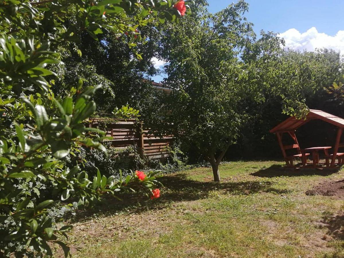 Rákos-patak Family House Garden & Free Parking in Budapest, Danube-Ipoly National Park