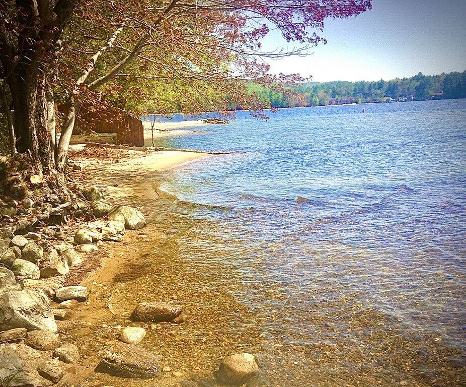 Cozy Studio Cottage with shared private beach on Newfound Lake in Bristol (NH), Newfound Lake