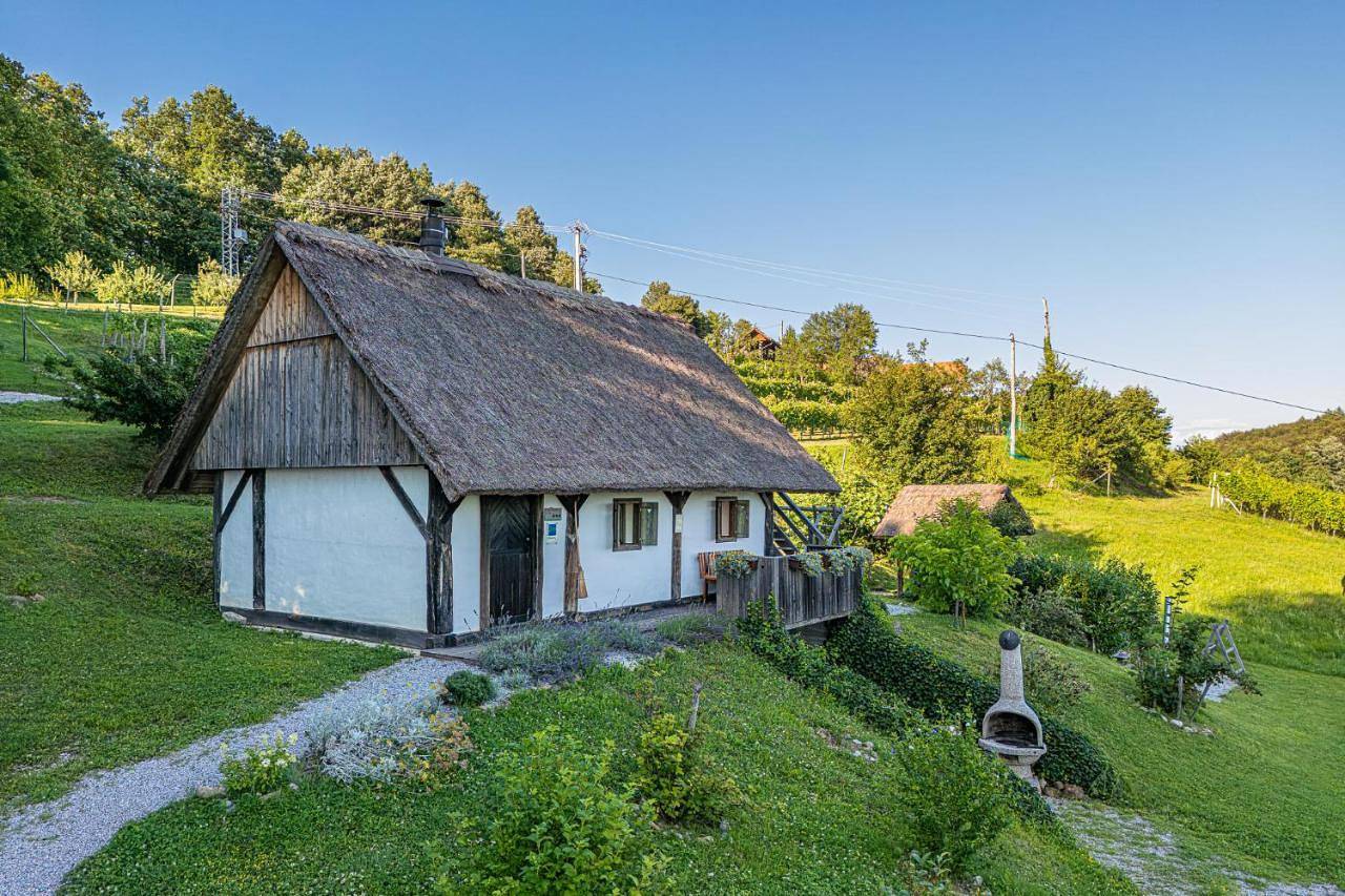 Vineyard Cottage Skatlar 2 in Neustadtl, Slowenien