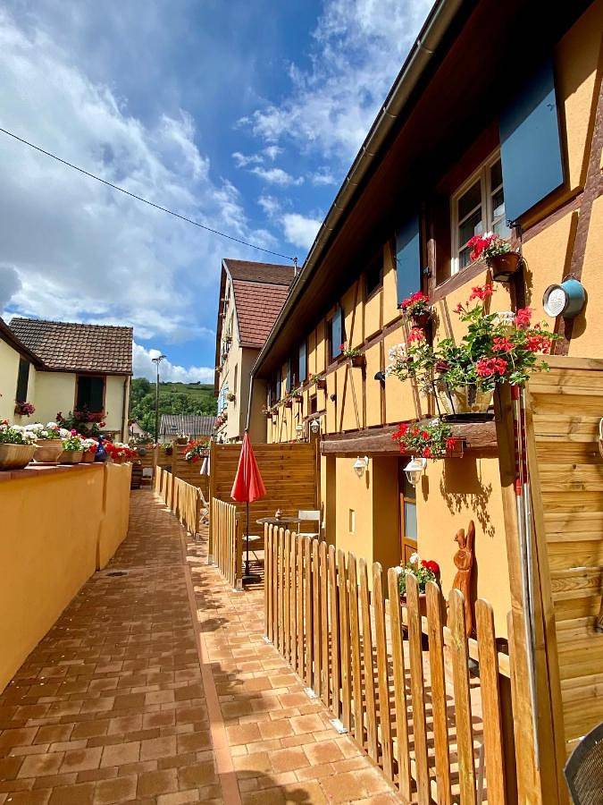 Villa pour 6 personnes, avec Terrasse et Vue en Alsace - 2