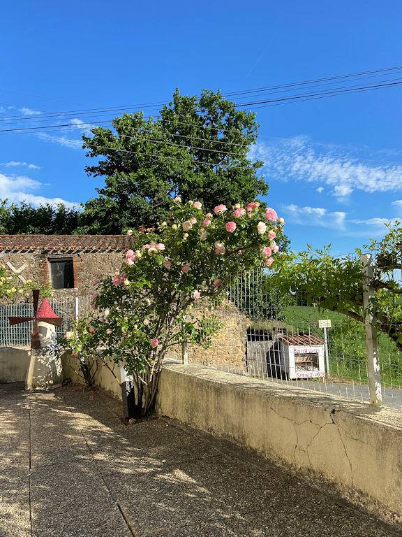 Chambre d’hôte pour 4 personnes, avec jacuzzi et piscine ainsi que terrasse et jardin, animaux acceptés à Pouzauges