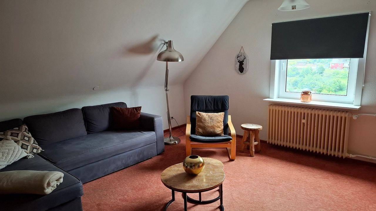 Ganze Ferienwohnung, Ferienwohnung für 4 Personen (65 m²) in Willingen (Upland) in Schwalefeld, Willingen