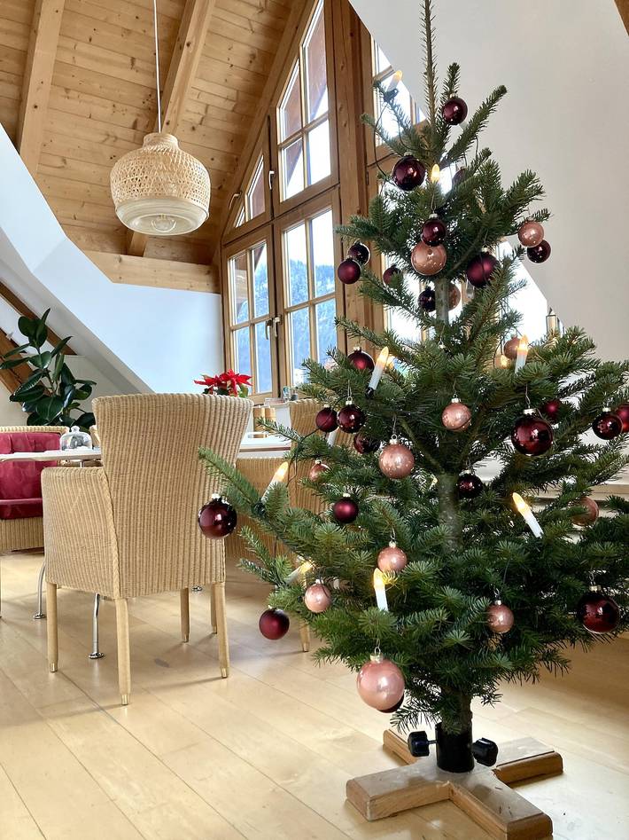 Ganze Ferienwohnung, Apartment Villa Riedhart in Kramsach, Kaisergebirge
