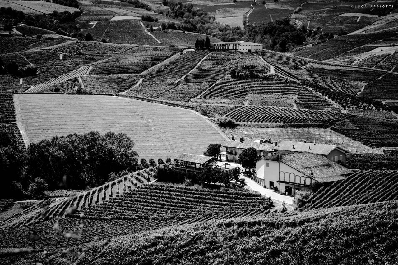 Agriturismo Cascina Sciulun in Monforte d'Alba, Langhe
