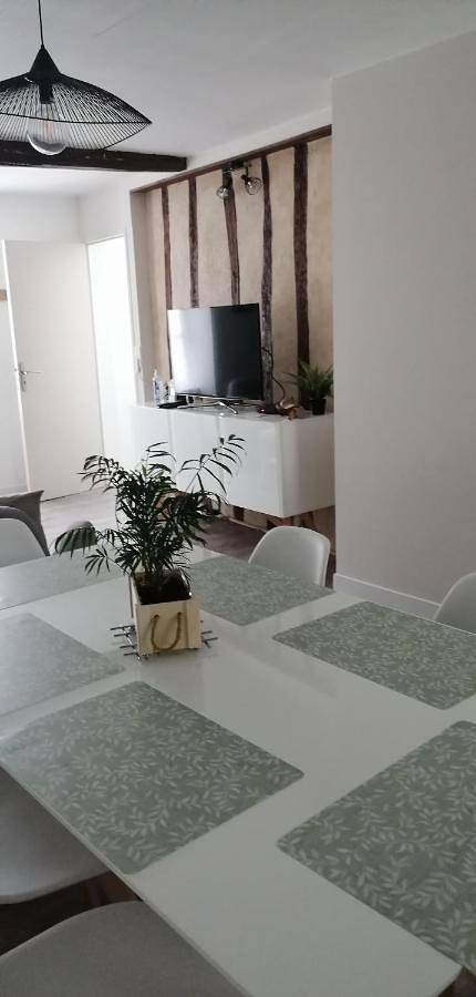 Appartement entier, Three-Bedroom House in Saint-Aignan, Région de Romorantin-Lanthenay