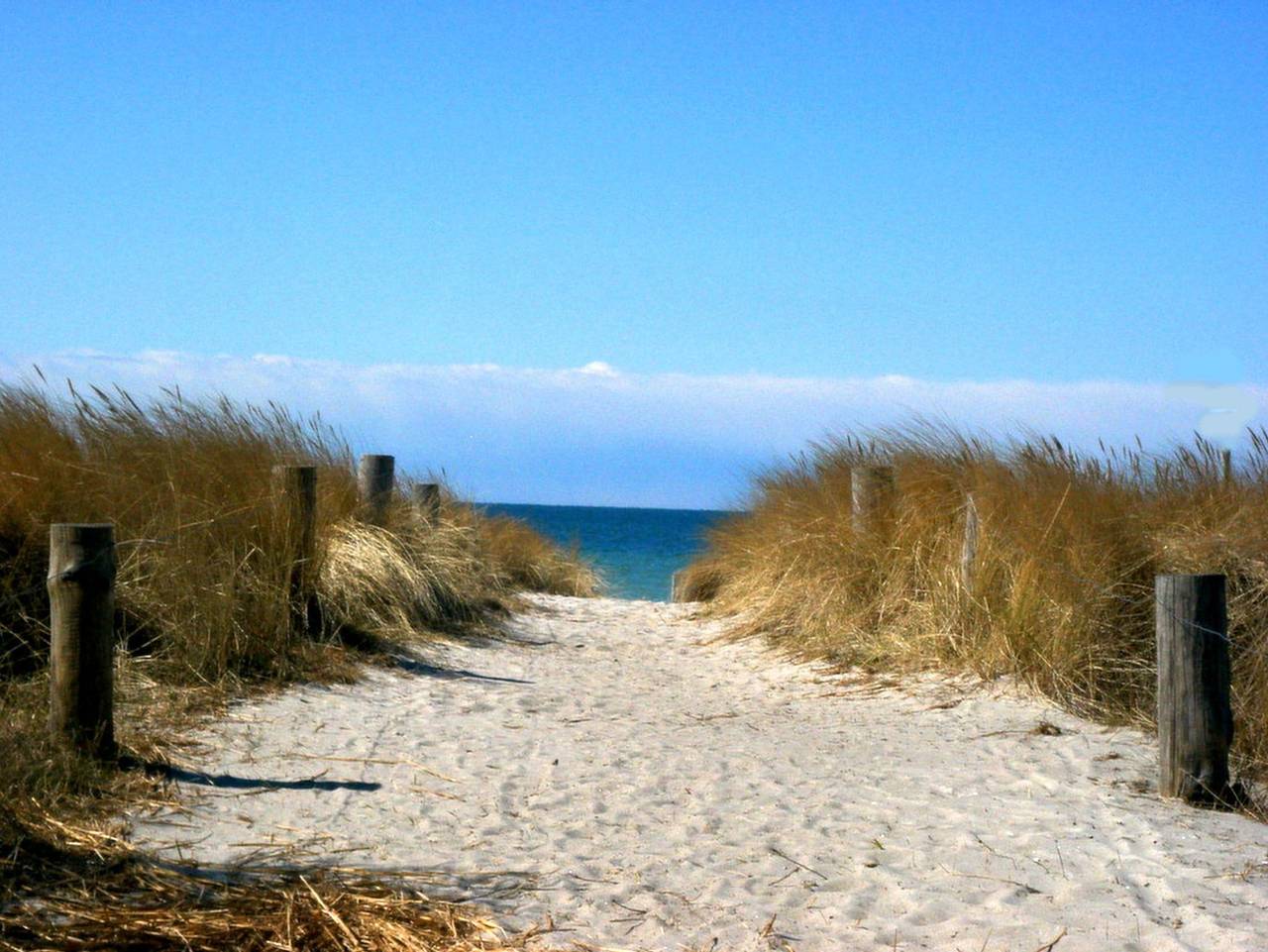 Ganze Ferienwohnung, Appartement im Fischerhaus Hiddensee 22 qm in Neuendorf Insel Hiddensee, Hiddensee