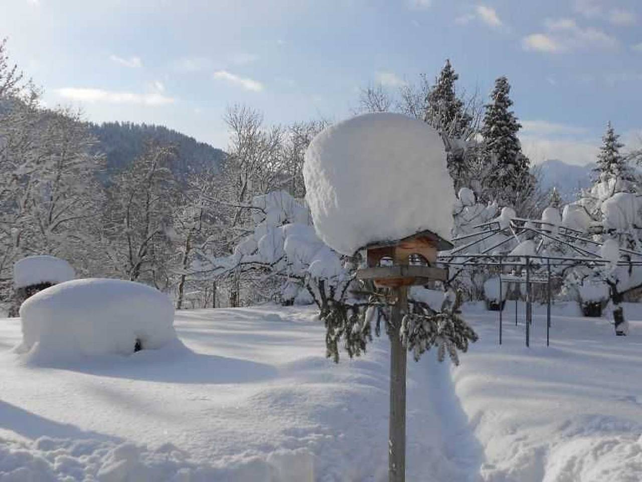 Ganze Ferienwohnung, Ferienwohnung Schreieck Maria und Josef - Ferienwohnung 1 in Höfen, Außerfern