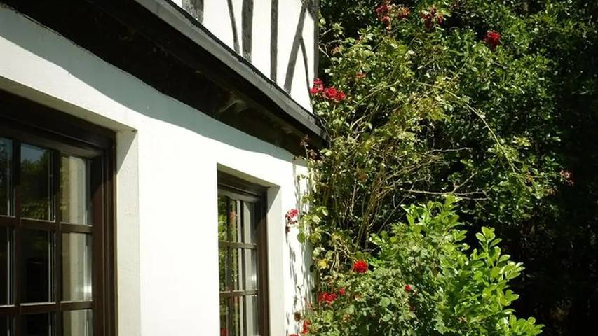 Ferienhaus für 8 Personen, mit Garten, mit Haustier im Westerwald - 2
