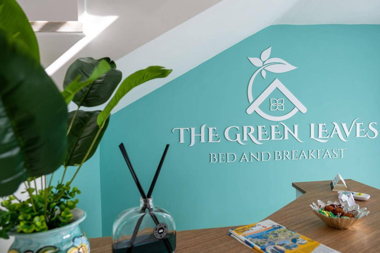 The green leaves in Santa Maria la Carità, Napoli e dintorni
