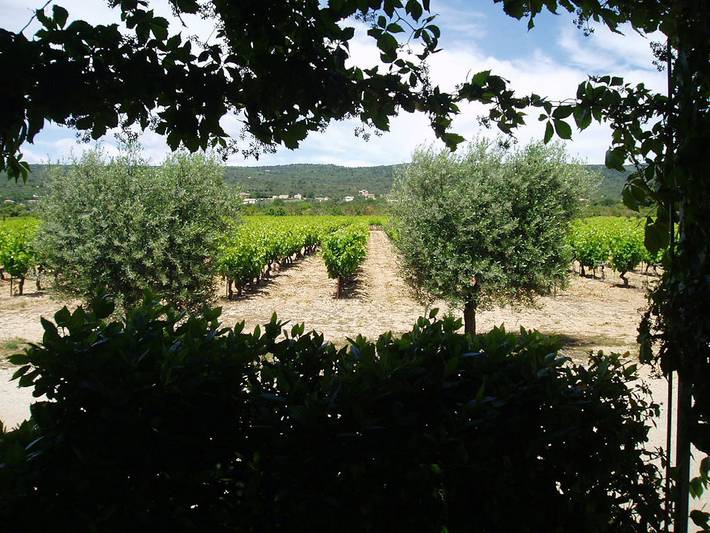 Gîte pour 2 personnes, avec jardin à Saint-Saturnin-lès-Apt - 4