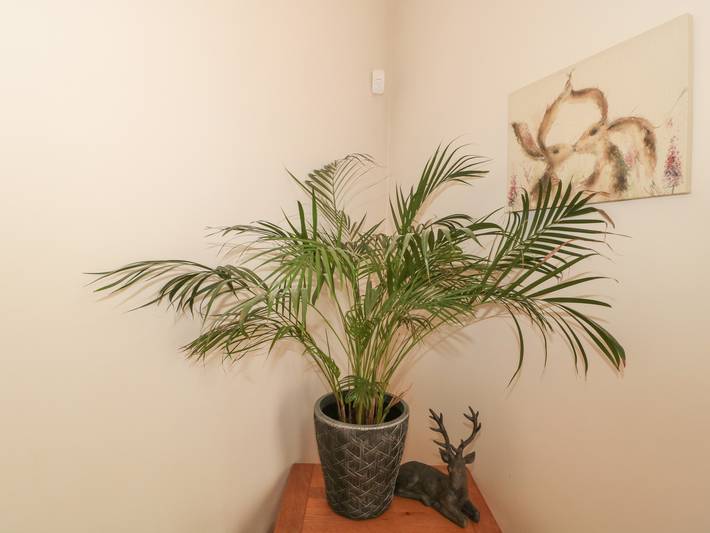 Ferienhaus für 4 Personen, mit Garten, mit Haustier in Südengland - 4