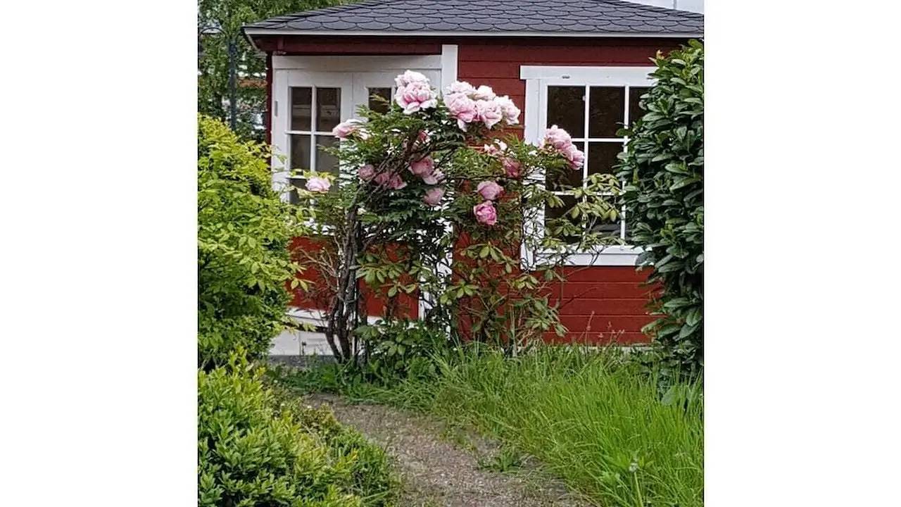 Ferienhaus für 2 Personen (40 m²) in Wachenheim An Der Weinstraße in Wachenheim, Pfälzer Rheinebene