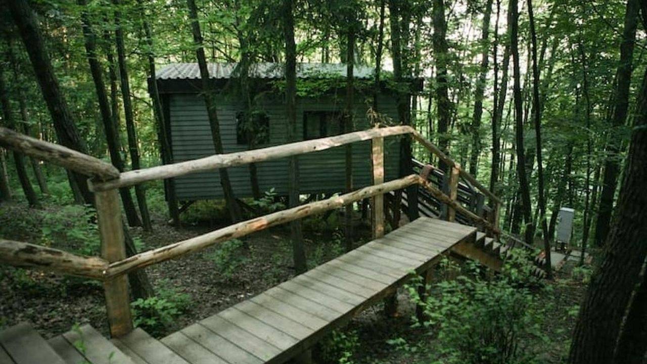Ferienhaus für 2 Personen (40 m²) in Fürstenfeld in Fürstenfeld, Steirerland