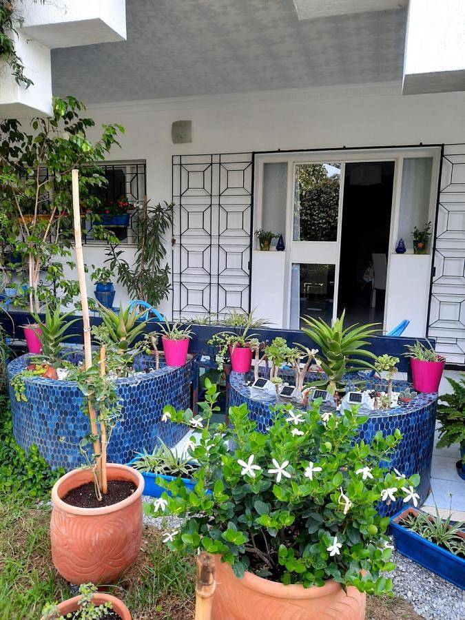 Gîte pour 2 personnes, avec terrasse ainsi que vue et jardin dans Ksar Es Sghir - 4