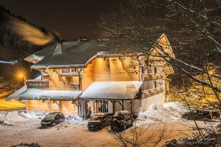Ferienwohnung für 8 Personen, mit Garten und Sauna, mit Haustier in La Bresse - 3