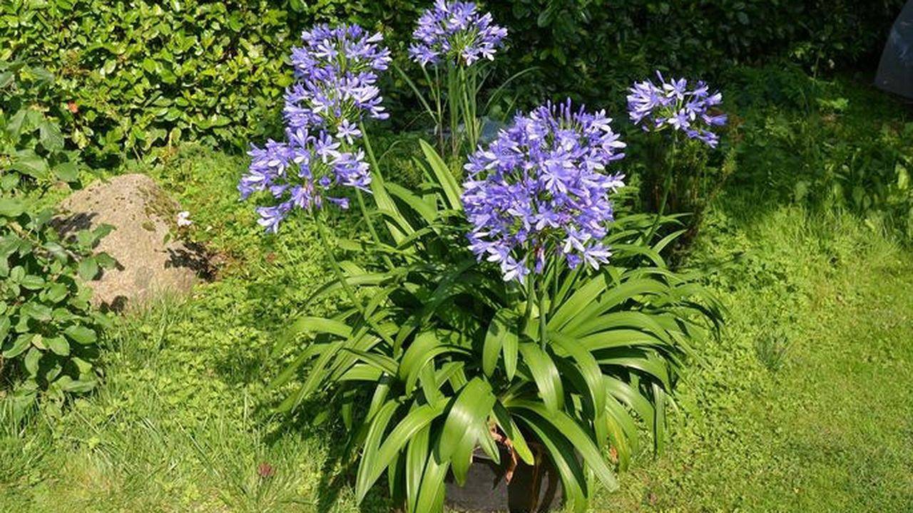 Ganze Ferienwohnung, Ferienwohnung für 2 Personen (45 m²) in Ratzeburg in Ratzeburg, Ratzeburger See