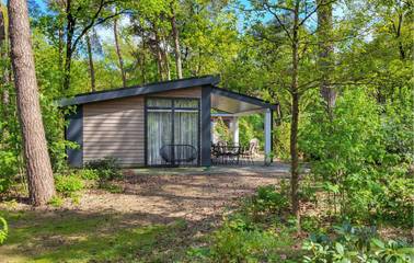 Camping für 6 Personen in Hardenberg, Overijssel, Bild 1