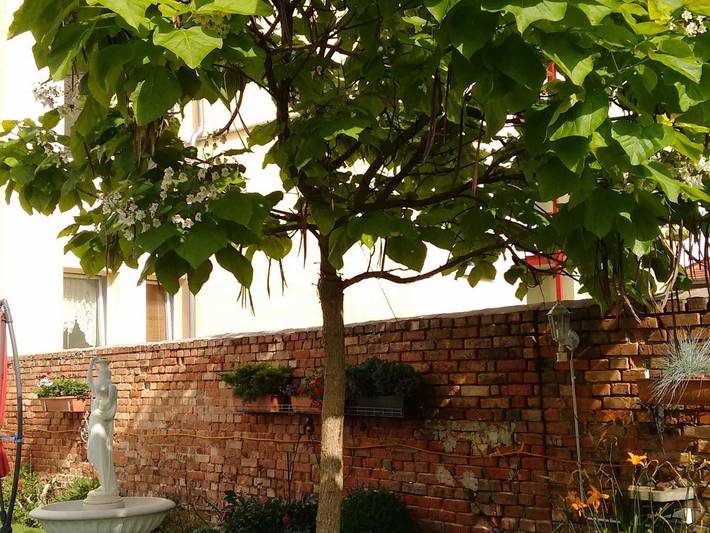 Ferienwohnung für 5 Personen, mit Garten in Stendal - 3