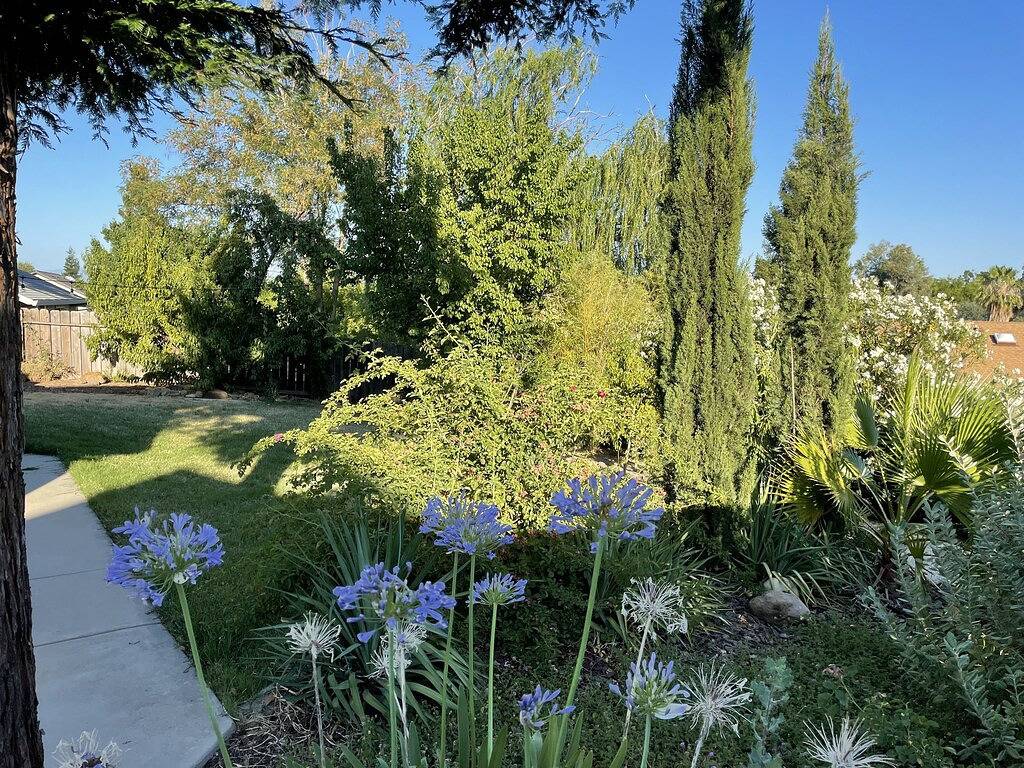 Eden Retreat - Rest & Relax with a soothing spa! 3King, 1Queen & 1 Airbed in Redding, Shasta County