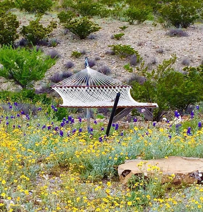 Vacation rental for 4 people, with balcony and yard, with pets in Big Bend National Park