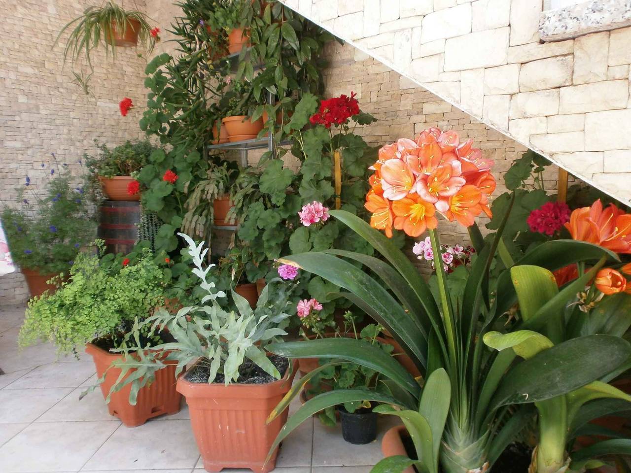 Appartement de vacances entier, Appartement de vacances avec balcon et air conditionné  in Rovinj, Région de Rovinj
