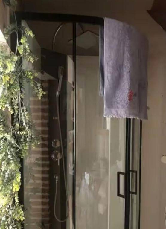 Location de vacances pour 4 personnes, avec terrasse à Fenouillet (Haute-Garonne) - 3