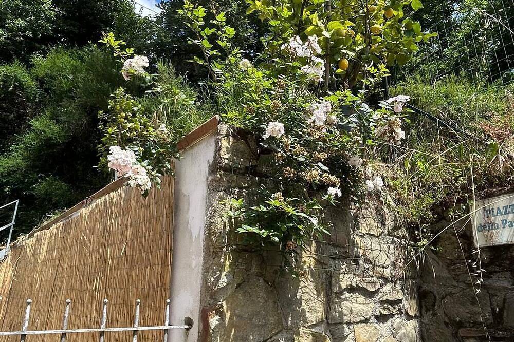 Vacanze toscane relax e privacy in Larciano, Pistoia Provinz