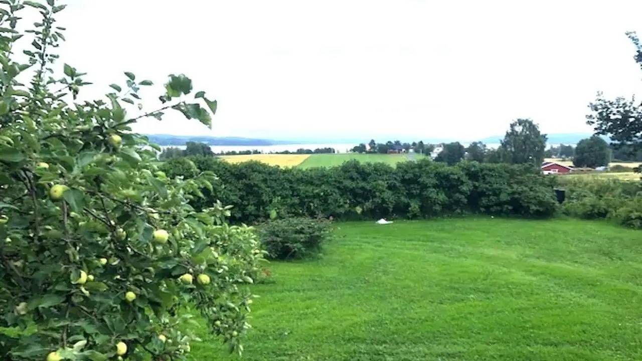 Ferienhaus für 4 Personen (56 m²) in Krokom in Jämtland